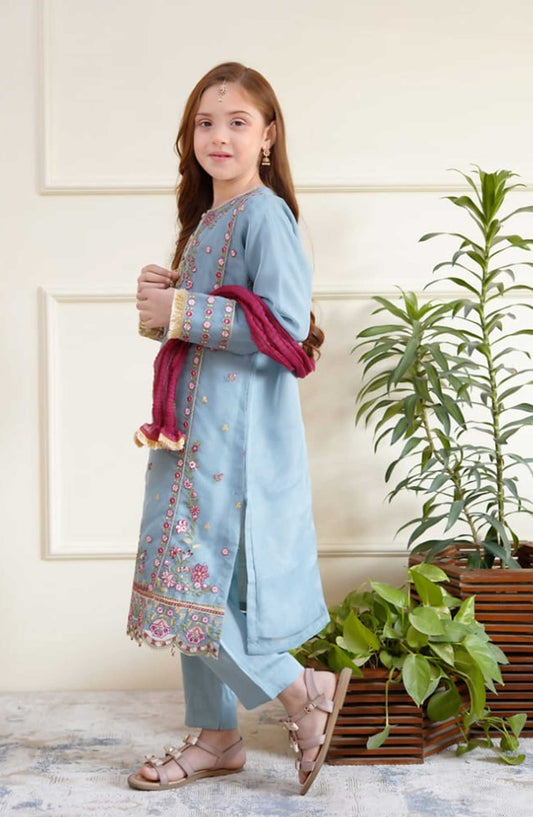 Shanzey Embroidered Organza Stitched 3 Piece - SHK-3502-Azure - SH25EB - Blue - Festive Girls Collection