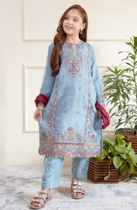 Shanzey Embroidered Organza Stitched 3 Piece - SHK-3502-Azure - SH25EB - Blue - Festive Girls Collection
