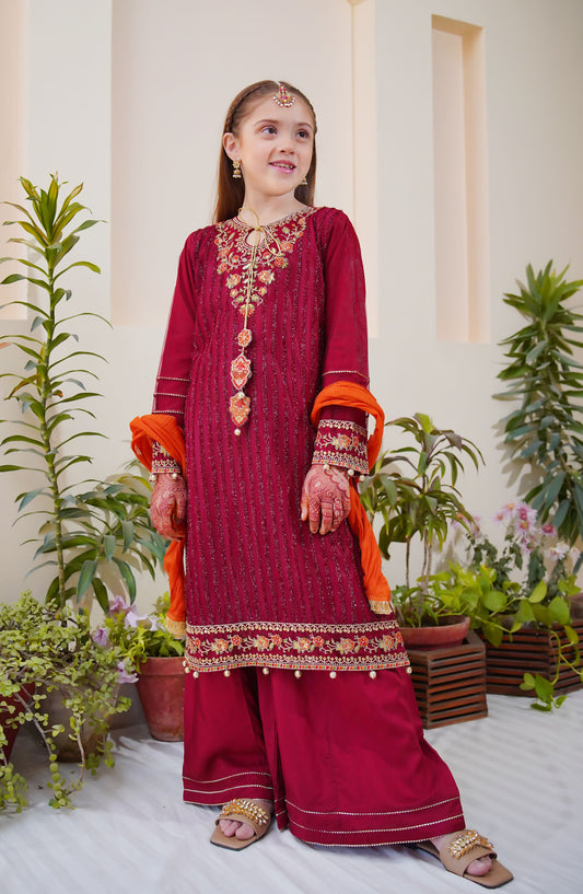 Shanzey Embroidered Net Stitched 3 Piece Suit - SHK-3801 - SH25MEFE - Red - Girls Collection