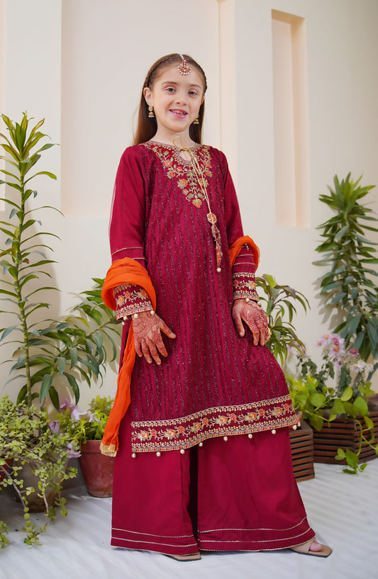 Shanzey Embroidered Net Stitched 3 Piece Suit - SHK-3801 - SH25MEFE - Red - Girls Collection