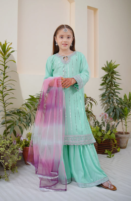 Shanzey Embroidered Net Stitched 3 Piece Suit - SHK-3803 - SH25MEFE - Blue - Girls Collection