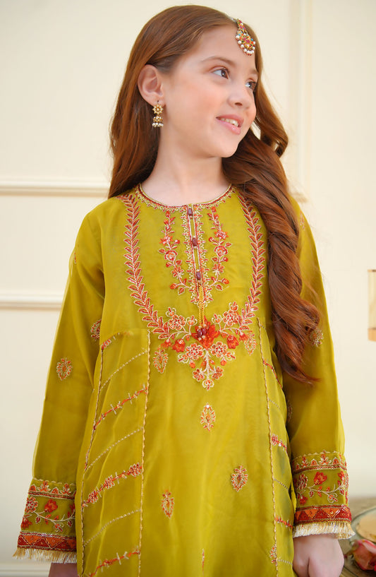 Shanzey Embroidered Organza Stitched 3 Piece Suit - SHK-4014 - SHZ25MEF - Green - Girls Formal Collection