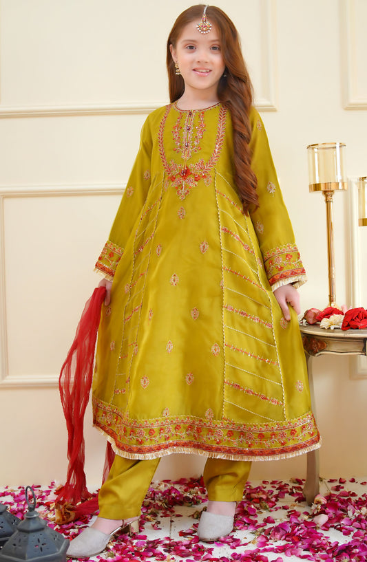 Shanzey Embroidered Organza Stitched 3 Piece Suit - SHK-4014 - SHZ25MEF - Green - Girls Formal Collection