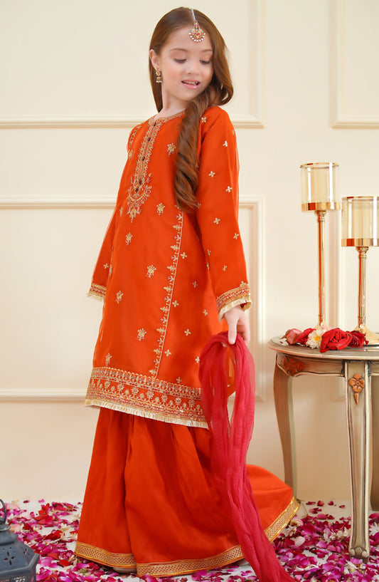 Shanzey Embroidered Organza Stitched 3 Piece Suit - SHK-4016 - SHZ25MEF - Rust - Girls Formal Collection