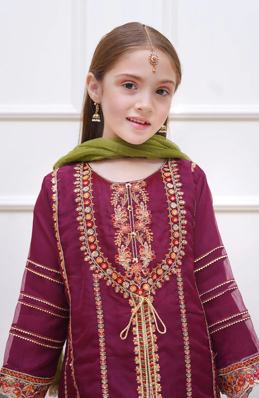 Shanzey Festive Vibes Collection 2024 - SHK 2002