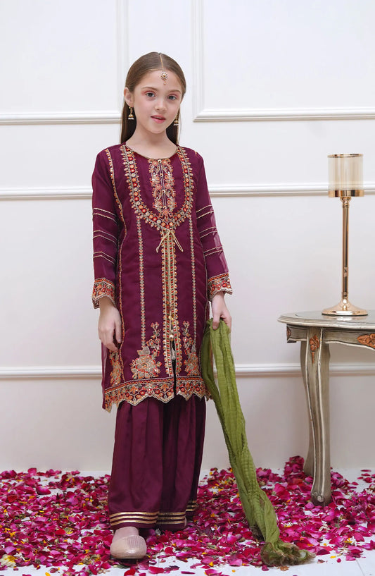 Shanzey Festive Vibes Collection 2024 - SHK 2002