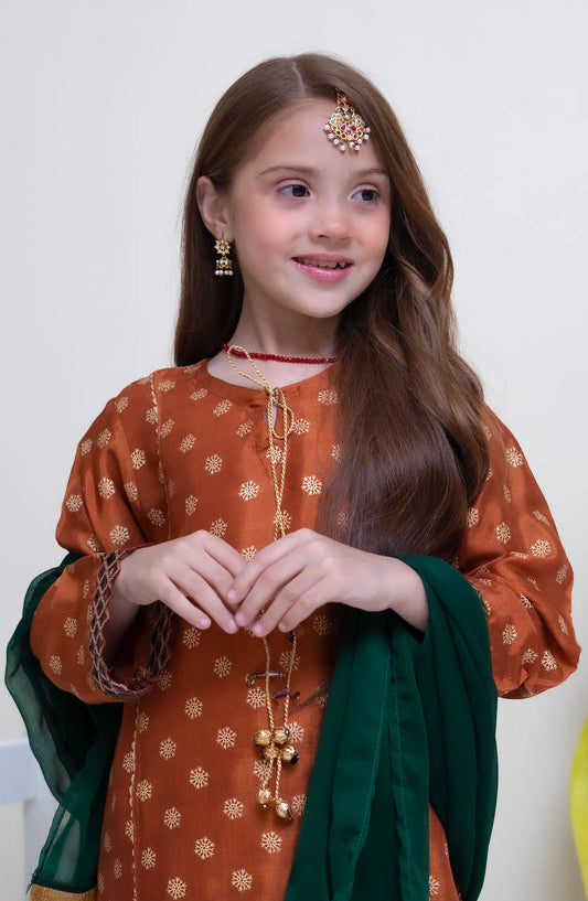 Shanzey Festive Silk Collection Vol 02 - SHK 2306 Rust