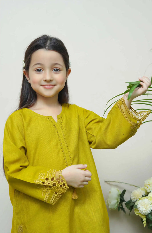 Shanzey Whimsical Winters Embroidered Khaddar Collection - SHK 3103 Dhani