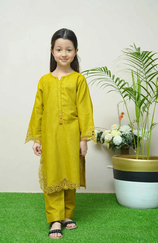 Shanzey Whimsical Winters Embroidered Khaddar Collection - SHK 3103 Dhani