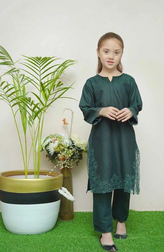 Shanzey Whimsical Winters Embroidered Khaddar Collection - SHK 3104 Bottle Green