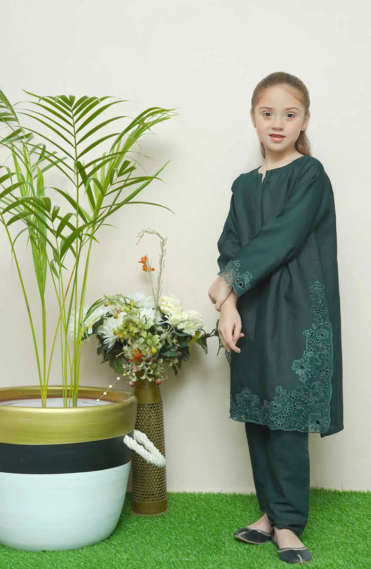 Shanzey Whimsical Winters Embroidered Khaddar Collection - SHK 3104 Bottle Green