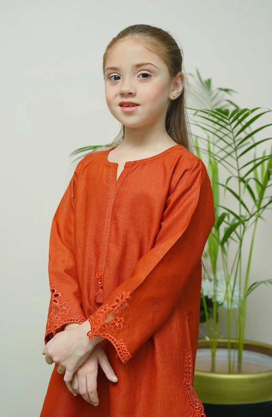 Shanzey Whimsical Winters Embroidered Khaddar Collection - SHK 3105 Rust