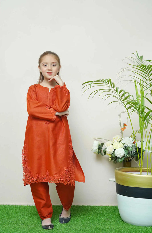 Shanzey Whimsical Winters Embroidered Khaddar Collection - SHK 3105 Rust