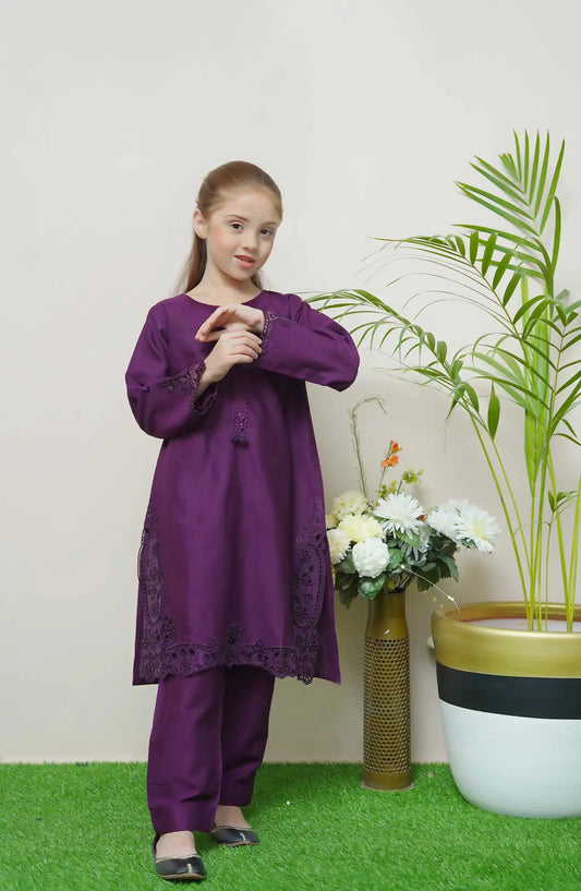 Shanzey Whimsical Winters Embroidered Khaddar Collection - SHK 3106 Purple