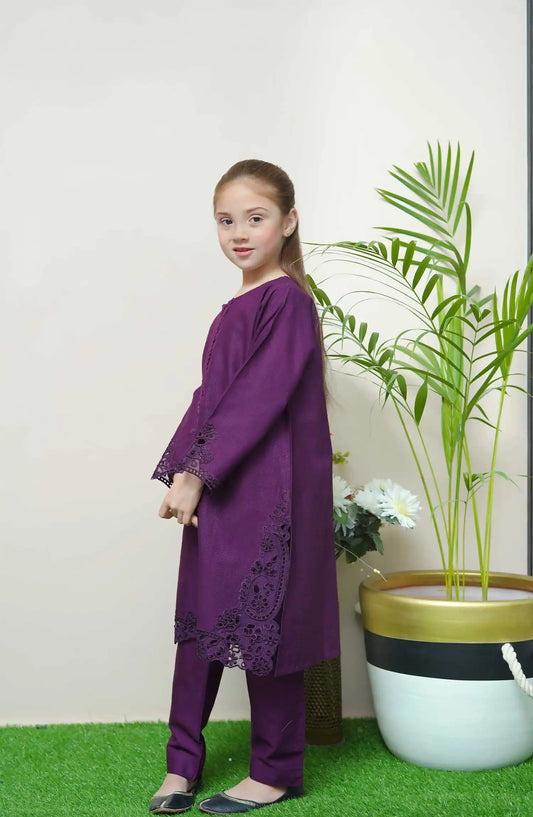 Shanzey Whimsical Winters Embroidered Khaddar Collection - SHK 3106 Purple