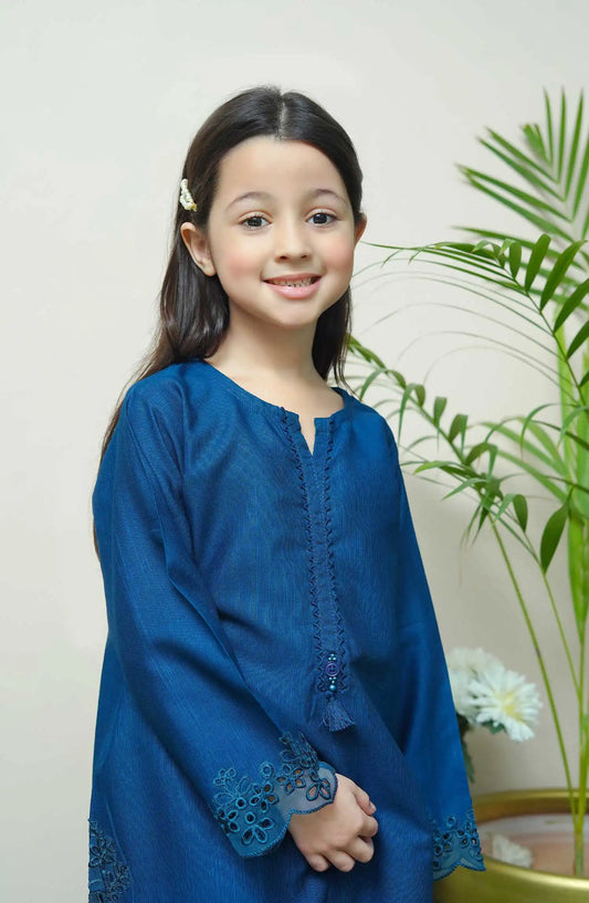 Shanzey Whimsical Winters Embroidered Khaddar Collection - SHK 3107 Teal Blue