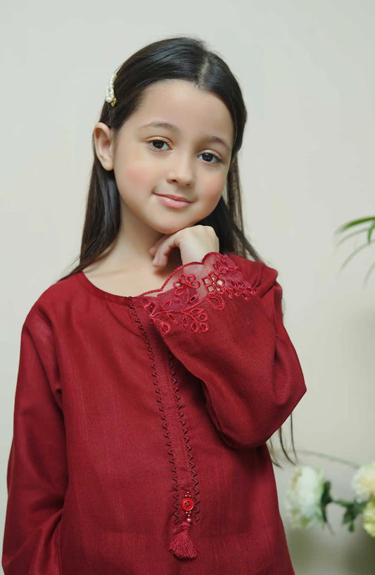Shanzey Whimsical Winters Embroidered Khaddar Collection - SHK 3108 Maroon