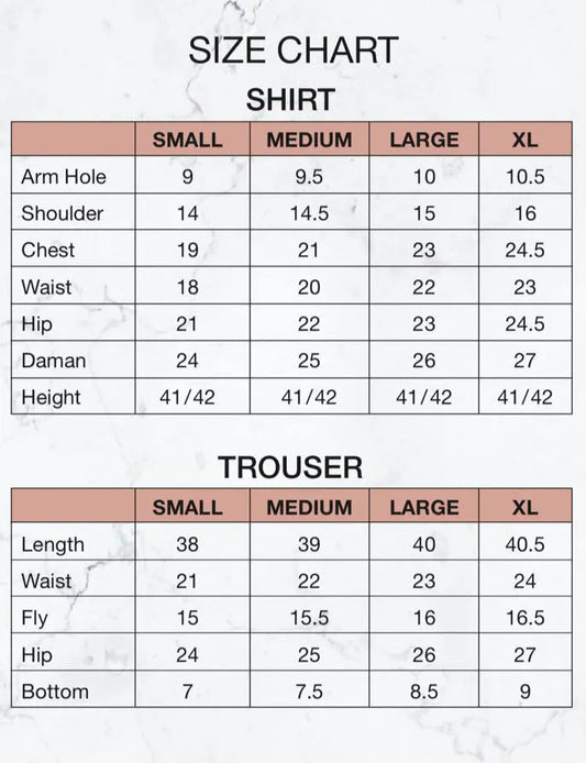 Zeenat Chiffon Formal 3-pc Stiched Collection 2024 - ZCSC 02