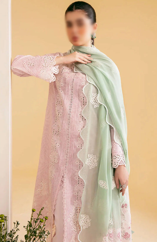Qalamkar Qlinekari Lawn Collection 2024 - SQ-02 ASEMA
