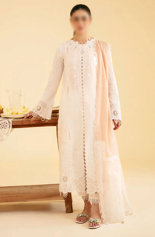 Qalamkar Qlinekari Lawn Collection 2024 - SQ-07 CARMIN