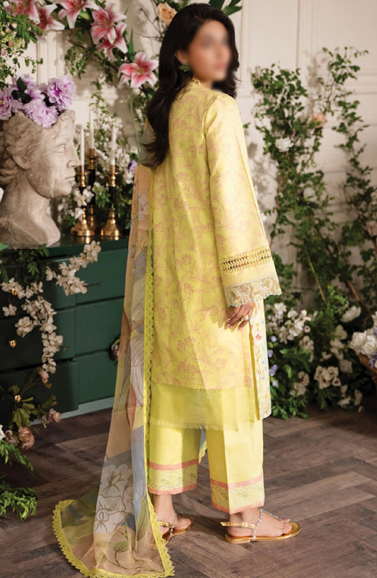 RangRasiya Lifestyle Embroidered Edit - Sun Kissed