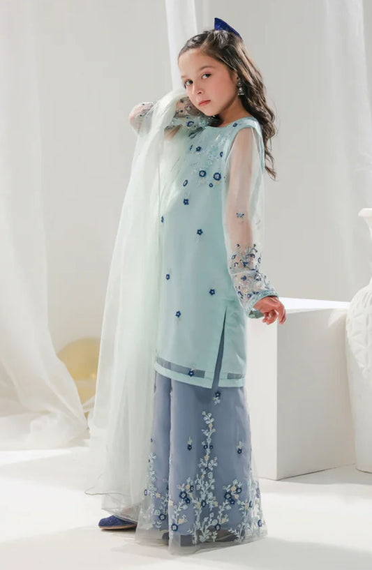 Hania - 3pcs Embroidered Gharara