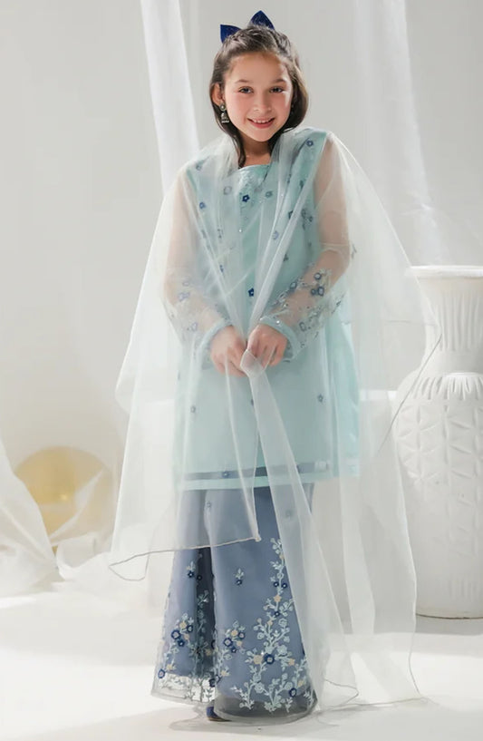 Hania - 3pcs Embroidered Gharara