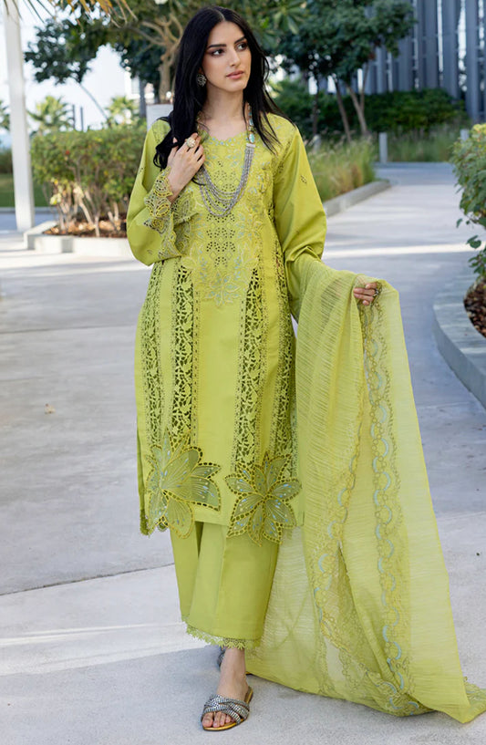 Carnation by Rang Rasiya Embroidered Lawn Unstitched 3 Piece Suit - D-02 Aaleen - RR25CL - Green - Summer Collection