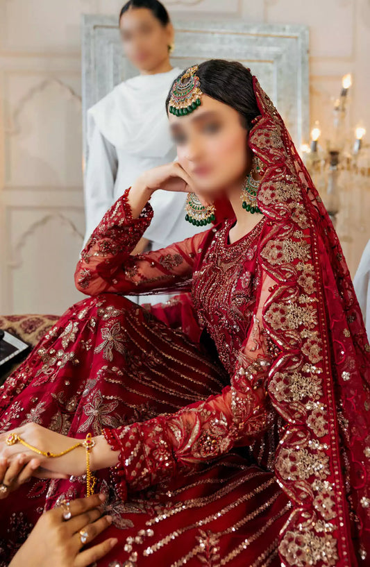 Zircon Luxury Collection Vol 10 By Zebtan - ZQ 09 ANARKALI