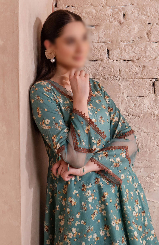 Amal 2 Pcs Pret Collection 2024 - 07 ELMA