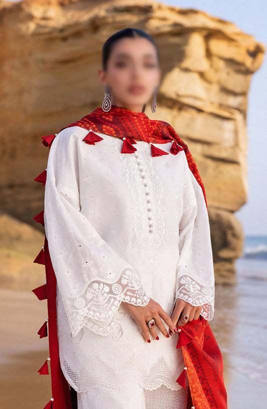 Zainab Chottani Chikankari Luxury Unstitched Collection 2024 - 3 A Chunari