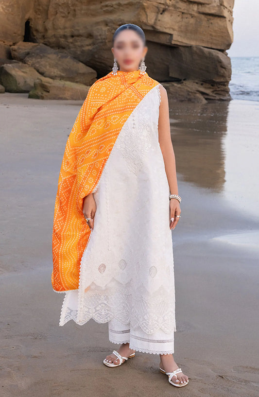 Zainab Chottani Chikankari Luxury Unstitched Collection 2024 - 3 B Chunari