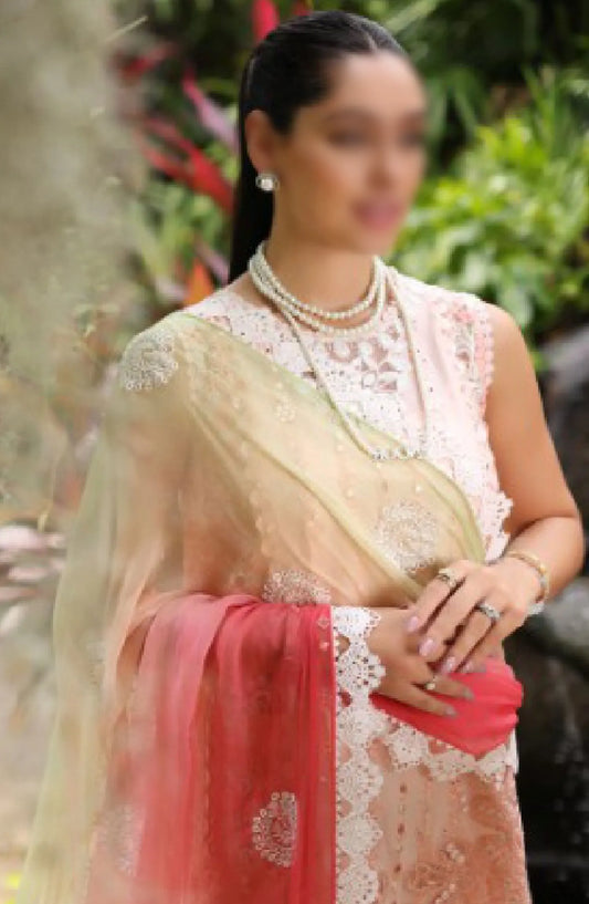 Noor By Saadia Asad Luxury Chikankari Lawn Collection 2024 - D 07 B