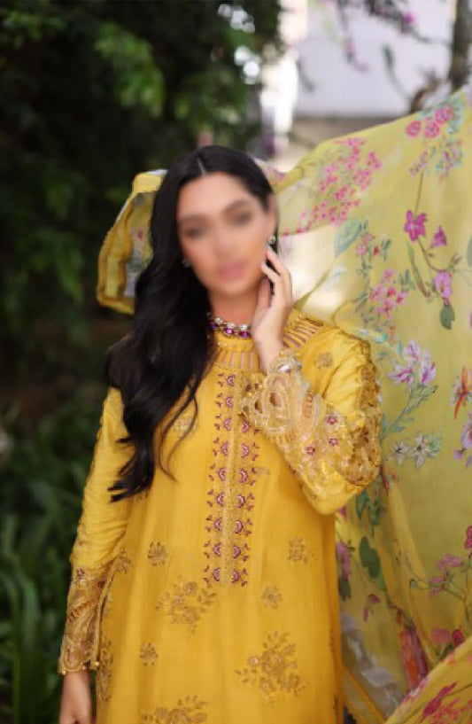 Noor By Saadia Asad Luxury Chikankari Lawn Collection 2024 - D 08 B