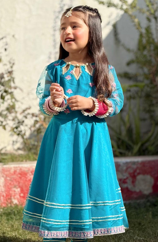 Modest Embroidered Net Stitched 3 Piece - Saniya - MD25F - Festive Collection