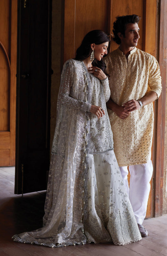 Afrozeh Dastan Goi Embroidered Poly Net Unstitched 3 Piece Suit - 01 Afsun - AF26DST - Silver - Festive Collection
