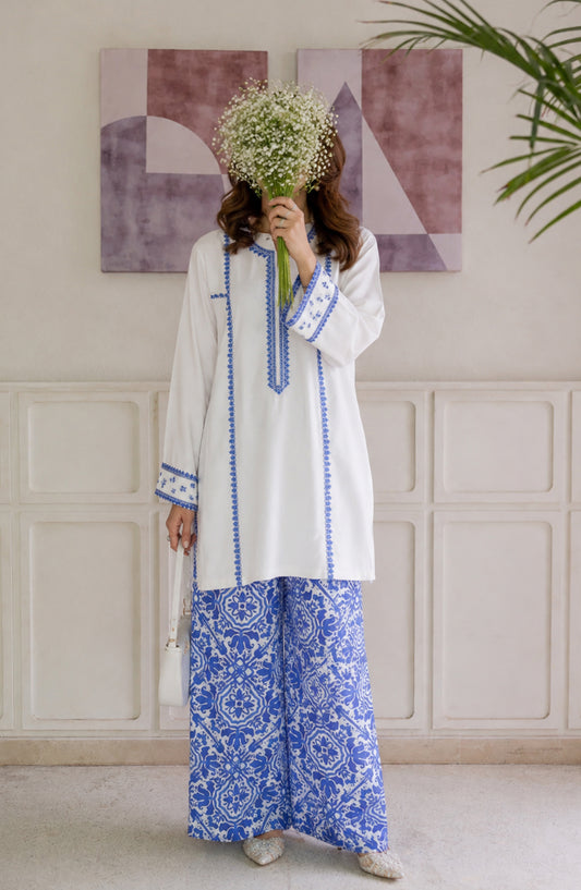 Afsana Basics by Amna Khadija Embroidered Lawn Stitched 2 Piece Co-ord Set - AKAB-03 - AM26FSNA - White - Summer Collection