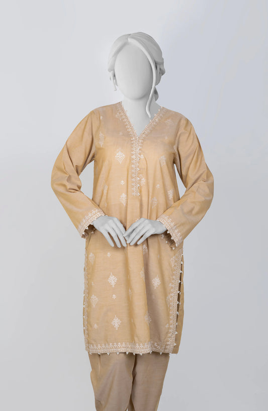 Ayla Embroidered Chambray Stitched 2 Piece Solids - EAE210105D - AY25SW - Beige - Winter Collection