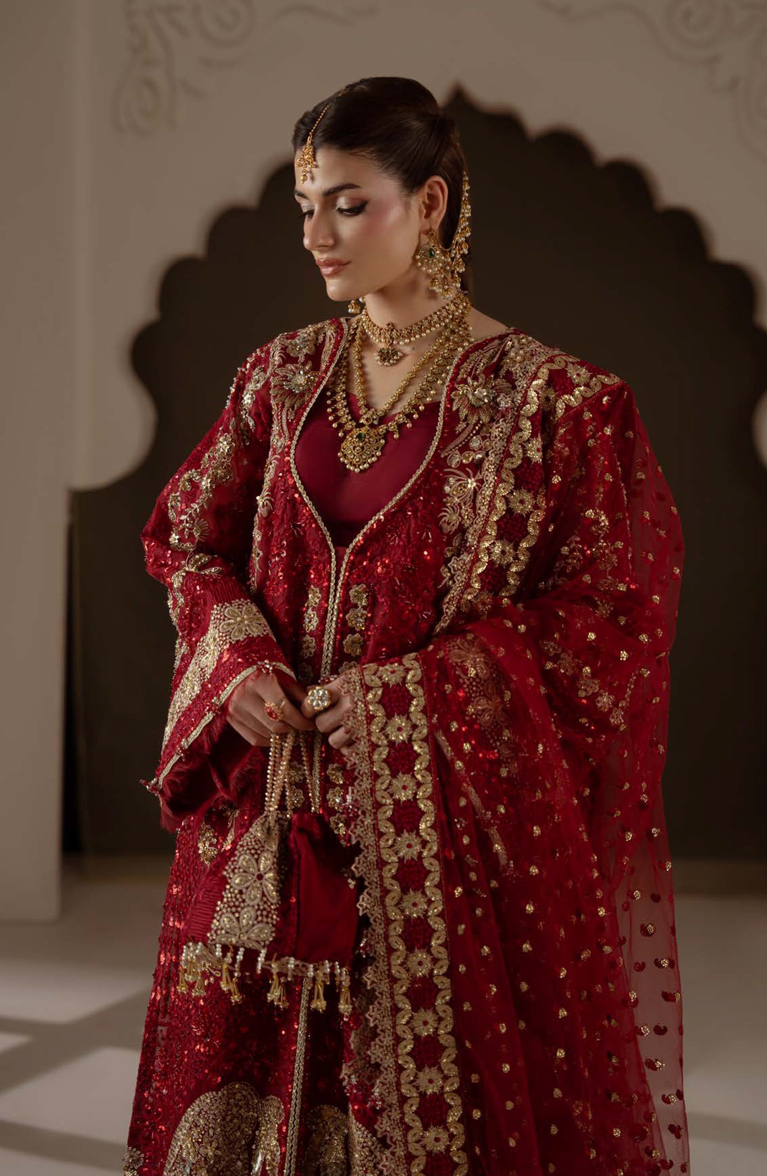 Aylin Ember Embroidered Organza Unstitched 3 Piece Suit - D-03 Amour - AYL26EM - Red - Festive Collection