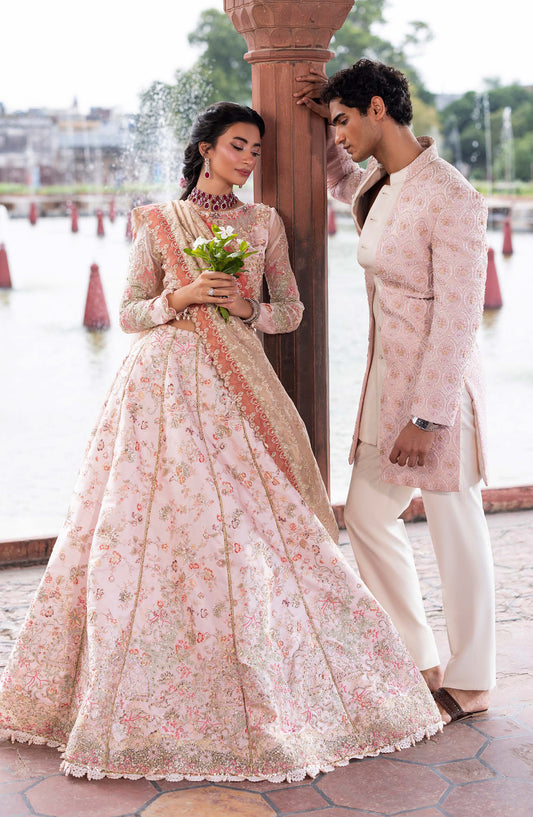 Aylin Ember Embroidered Organza Unstitched 3 Piece Suit - 04 Silkstone - AYL25EMF - White - Festive Collection