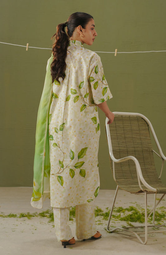 Coco by Zara Shahjahan Printed Lawn Unstitched 3 Piece Suit - D-7A - ZS26PR - Green - Summer Collection