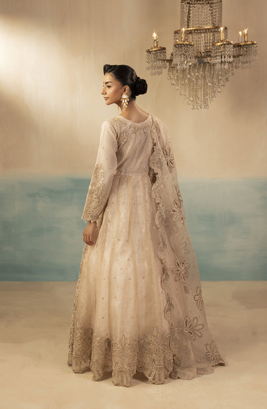Diara Couture Signature Embroidered Organza Stitched 3 Piece Suit - ROSY EMBRACE - DC25SGN - Light Pink - Luxury Collection