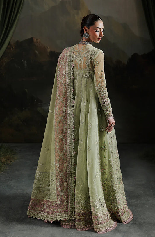 Elirah by Qalamkar Luxury Embroidered Organza Unstitched 3 Piece Suit - MF-02 SAGE AURA - QL25ELR - Green - Formals Collection