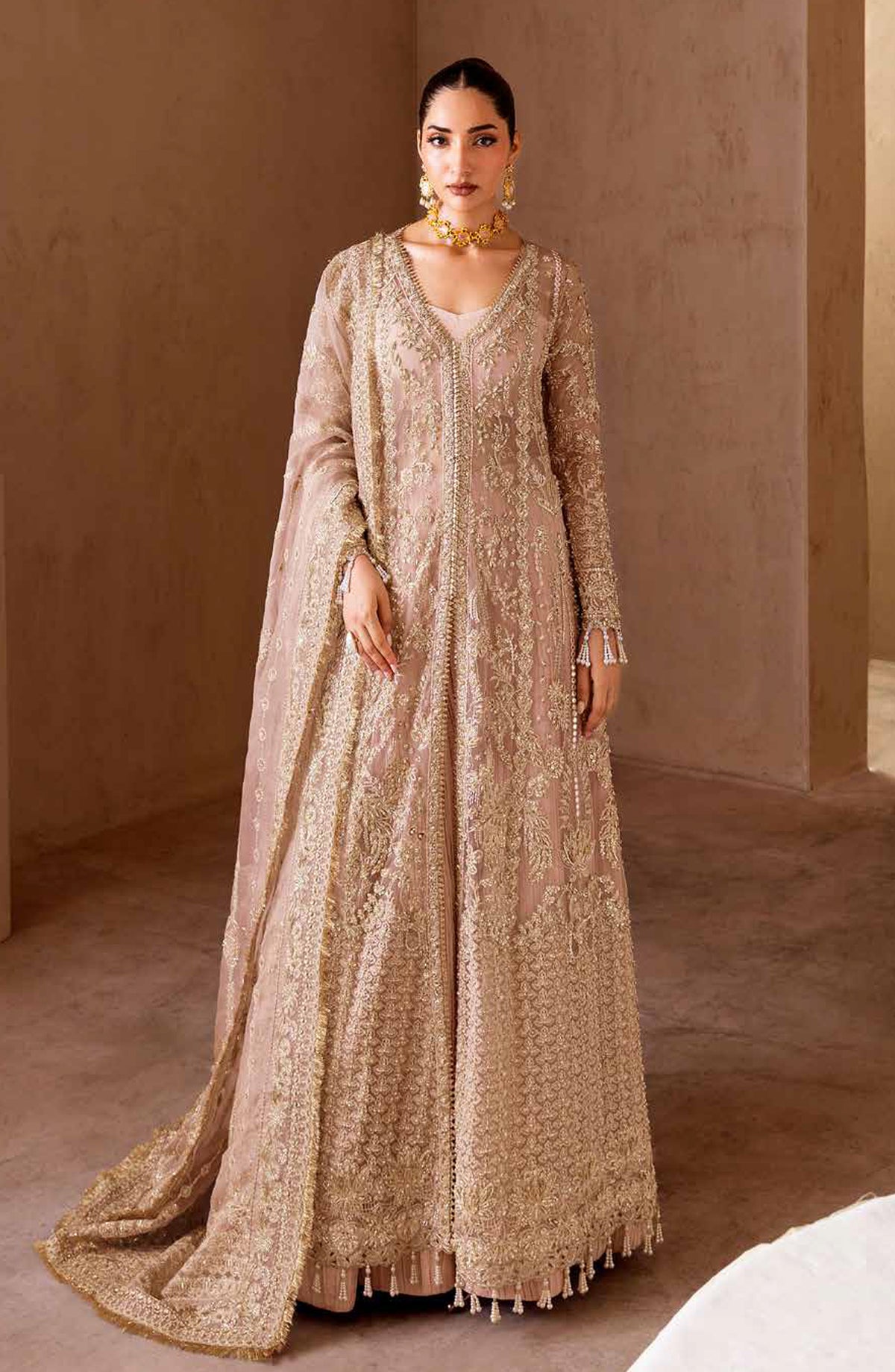 Emaan Adeel Clay and Couture Embroidered Organza Unstitched 3 Piece Suit - CELESTIAL - ED25CC - Pink - Wedding Collection