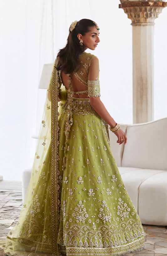 Gossamer by Zaha Luxury Embroidered Net Unstitched 3 Piece Suit - ZC25-01 NOORE SITARA - ZAH25GS - Green - Wedding Festive Collection