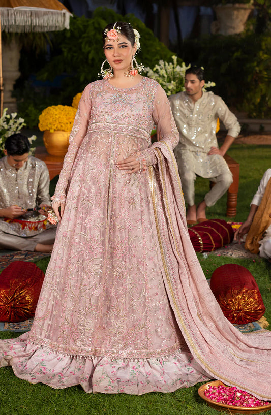 HAYE DIL by Sahane Luxury Formals Embroidered Organza Unstitched 3 Piece Suit - CT 29001 Layers of Dream - SAH25HYD - Pink - Wedding Collection