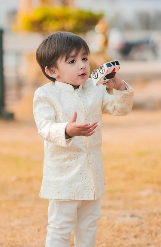 Hassan Jee Exclusive Pearl White Open Embroidered Jamawar shervani -S23 - HSN25SHR - Boys Festive Collection