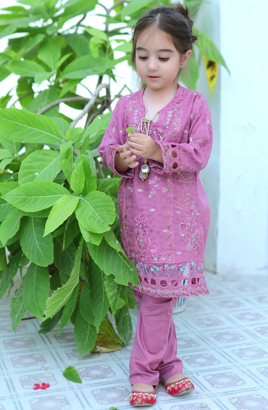 Muave Embroidered KST 087