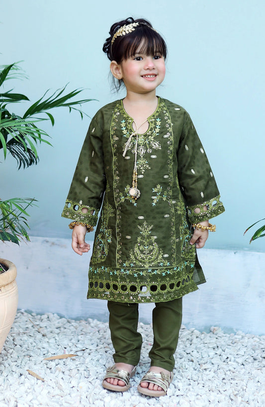 Apple Green Embroidered KST 088