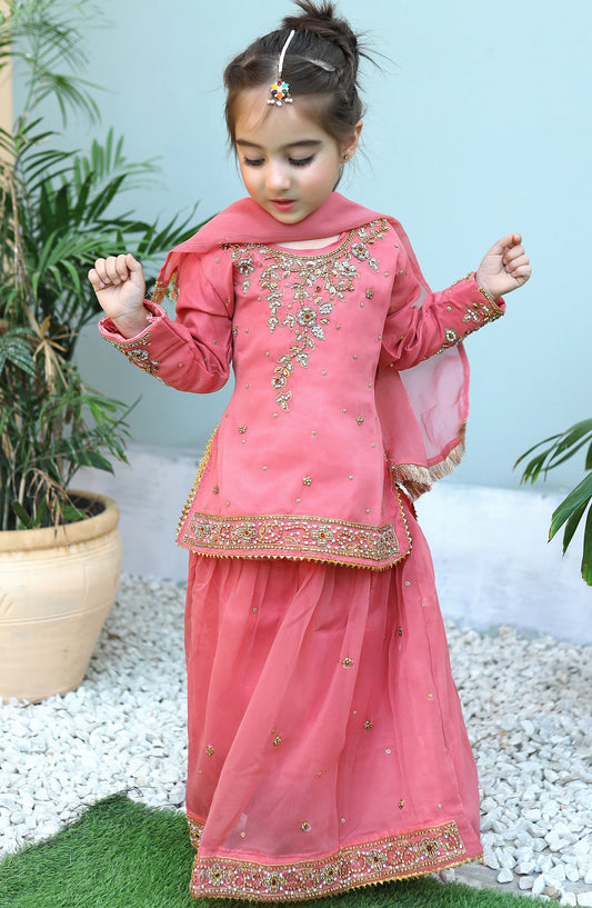 Cotton Candy Pink Lehenga KL 008 KHN26NZ